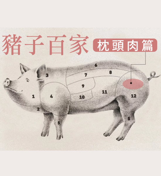豬子百家-枕頭肉篇