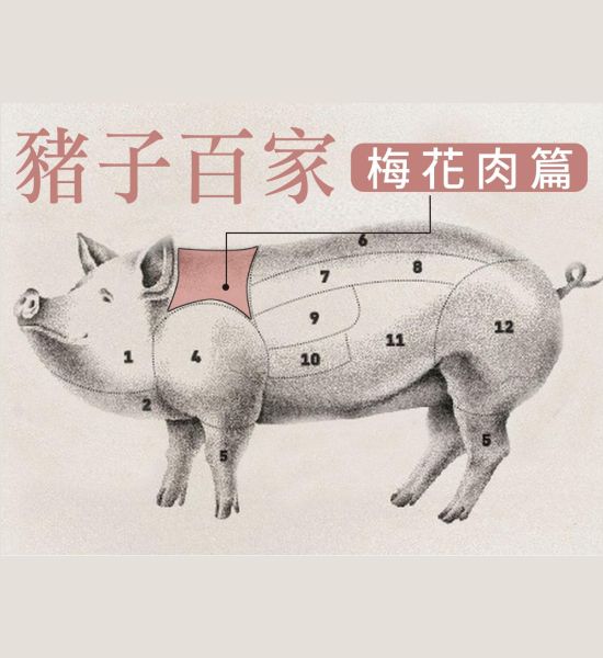 豬子百家－梅花肉篇
