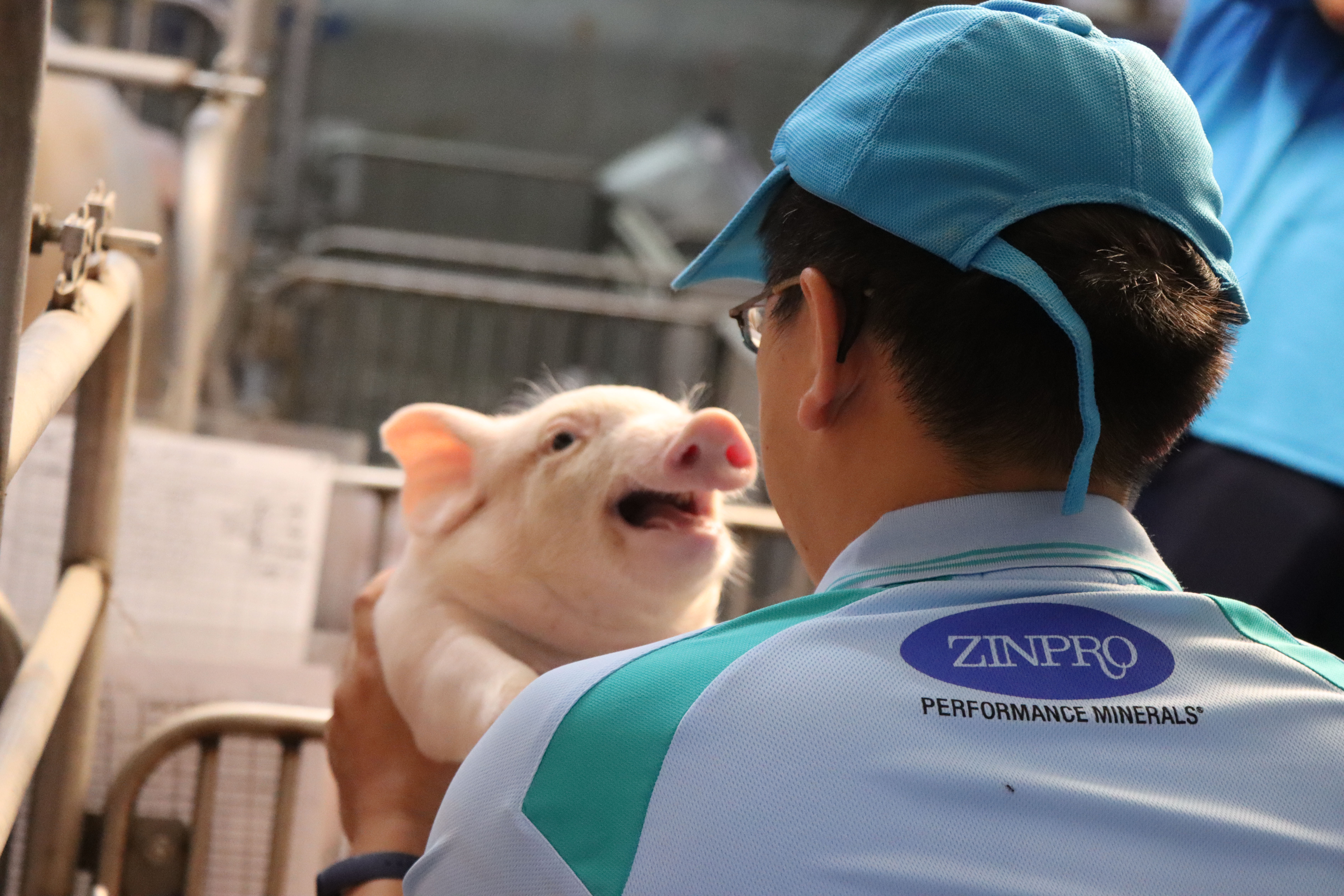 製程頁_2友善智慧飼養_4